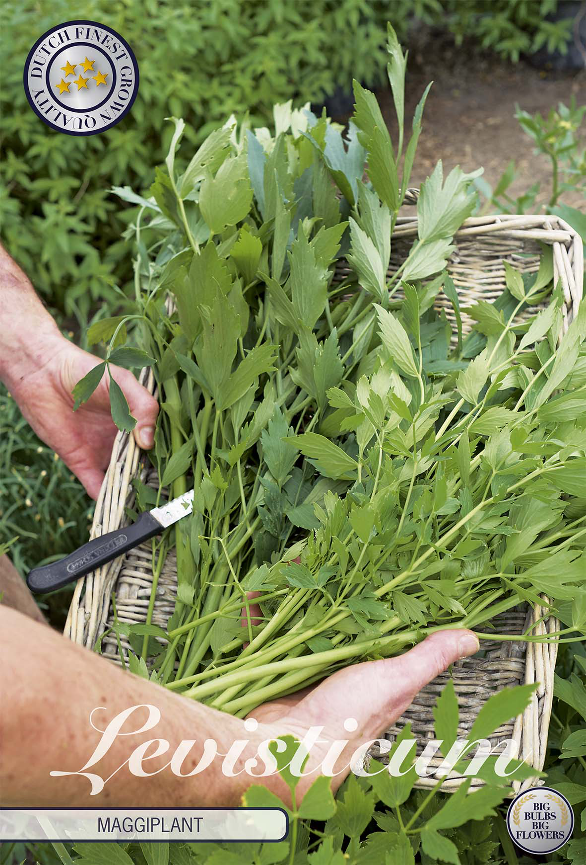 Edible Garden