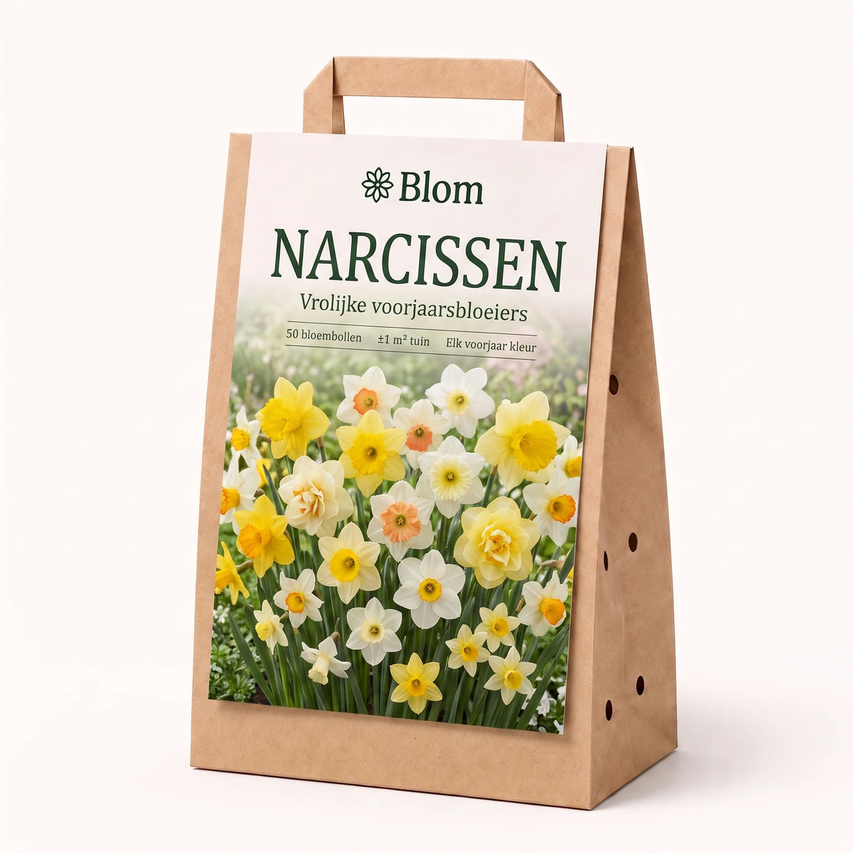 Sac de bulbes de narcisses Blom : 50 bulbes pour environ 1 m² de jardin, de joyeuses fleurs de printemps
