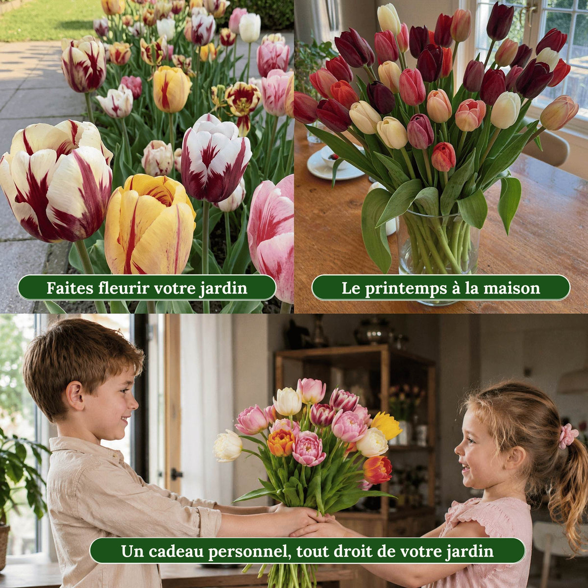 Tulipes en fleur au jardin, un vase de tulipes sur la table et un enfant qui offre un bouquet de tulipes