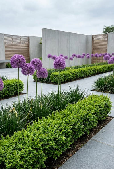 Strakke moderne tuin — Strakke Lijnen