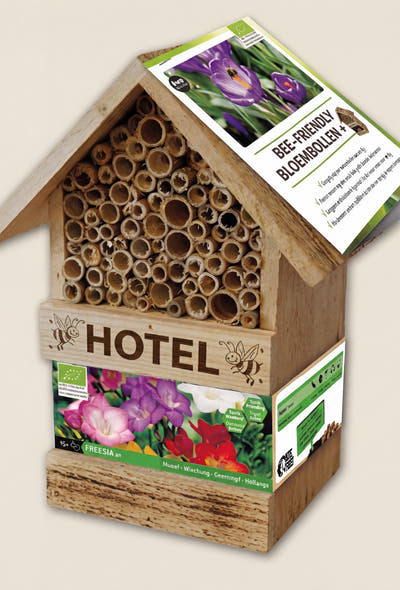 Bee Hotel with Freesia Bulbs