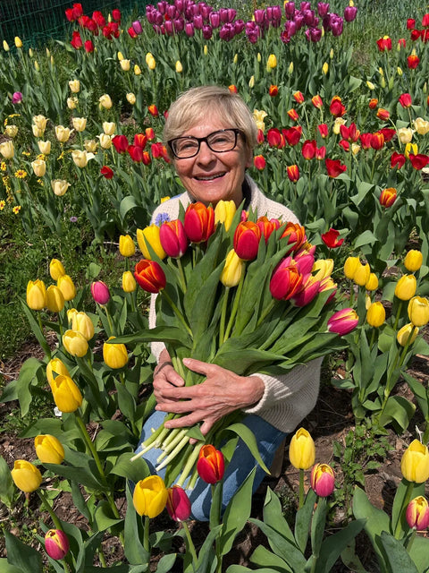 Vrouw met een armvol gemengde tulpen in de border