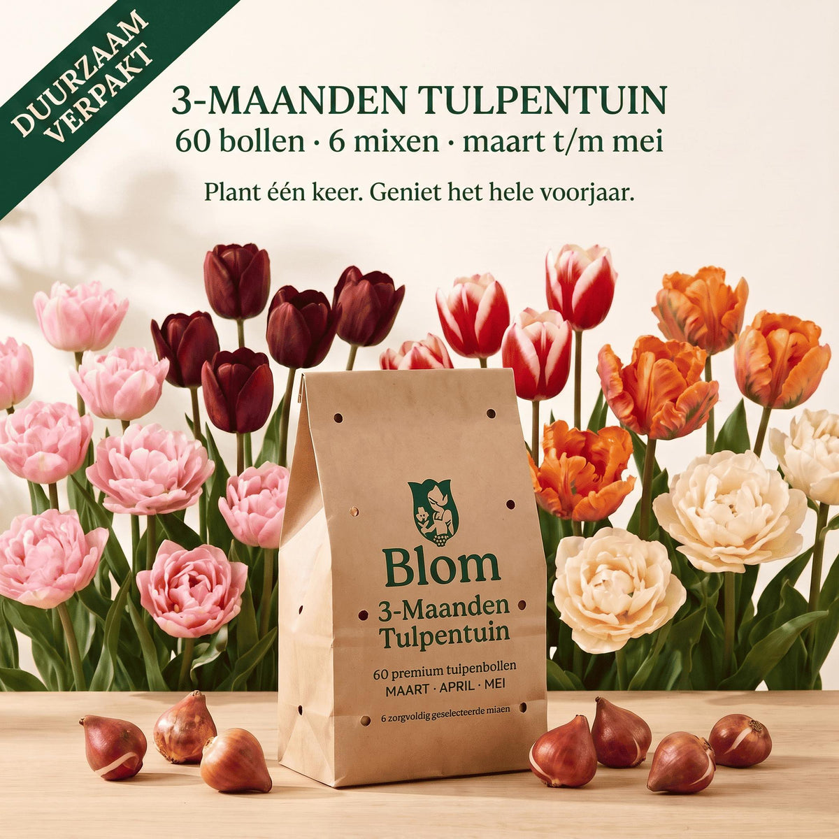 Tulpenmix 3 maanden bloei