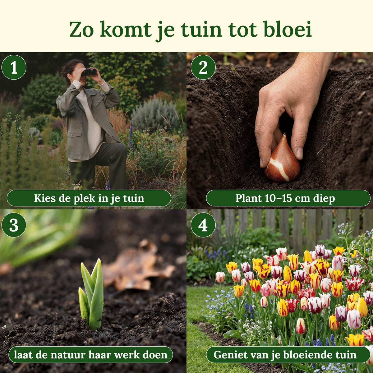 Zo komt je tuin tot bloei