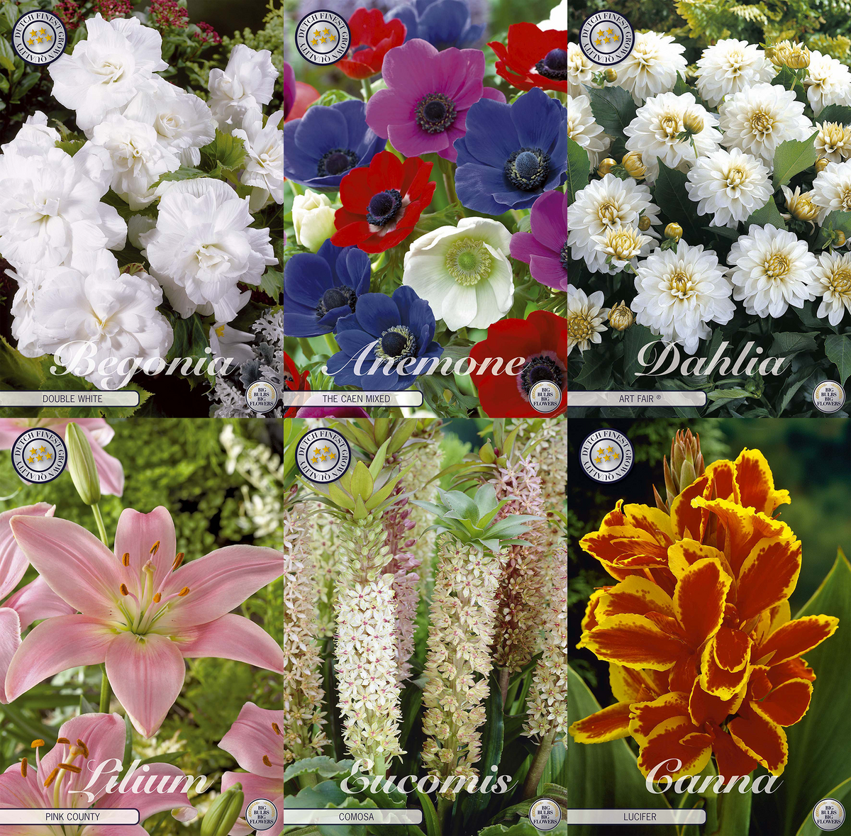 Mix Pot Collection