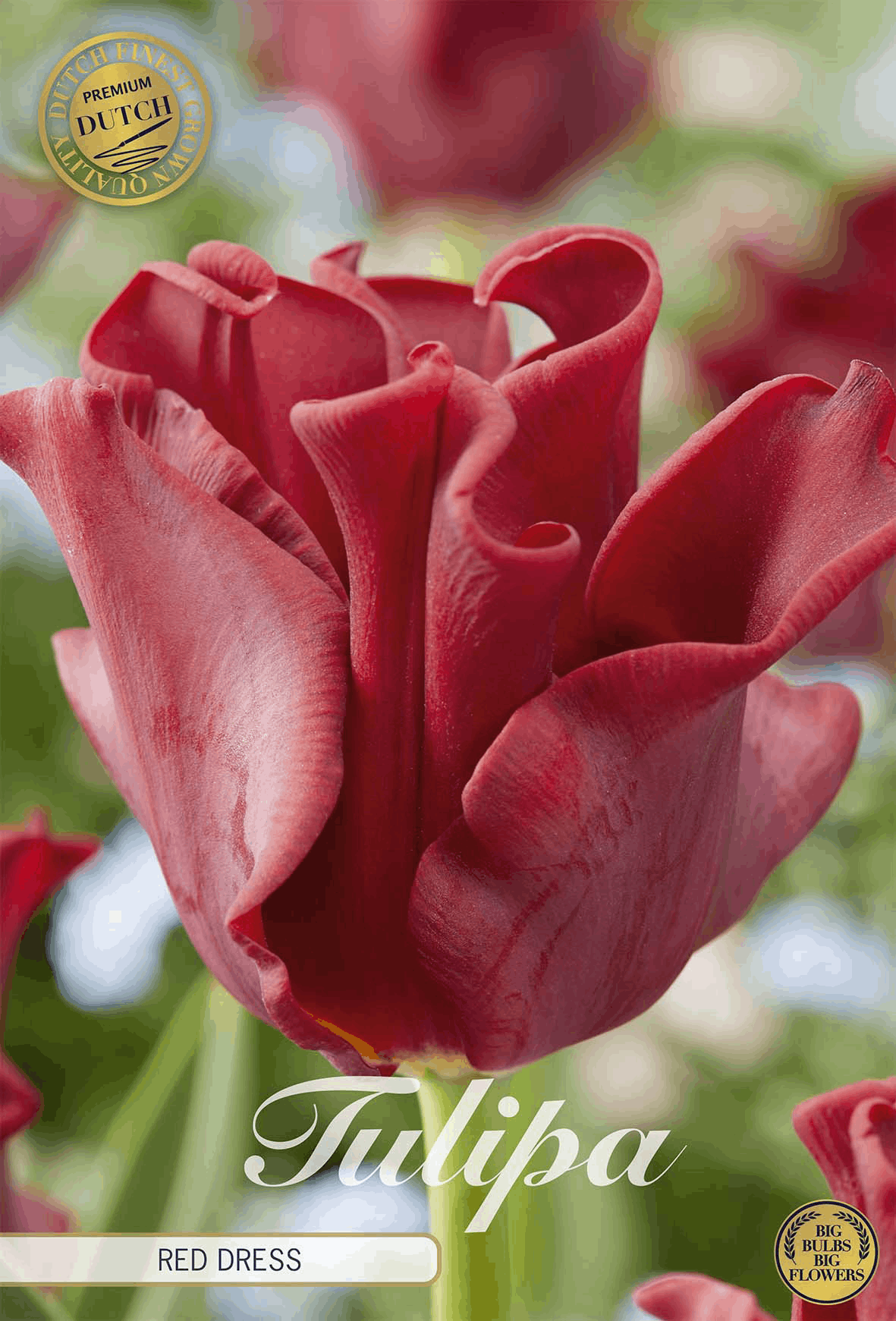 Tulipa Red Dress