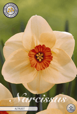 Narcissus Altruist