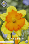 Narcissus Congress