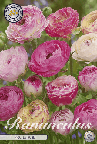Flower bulbs