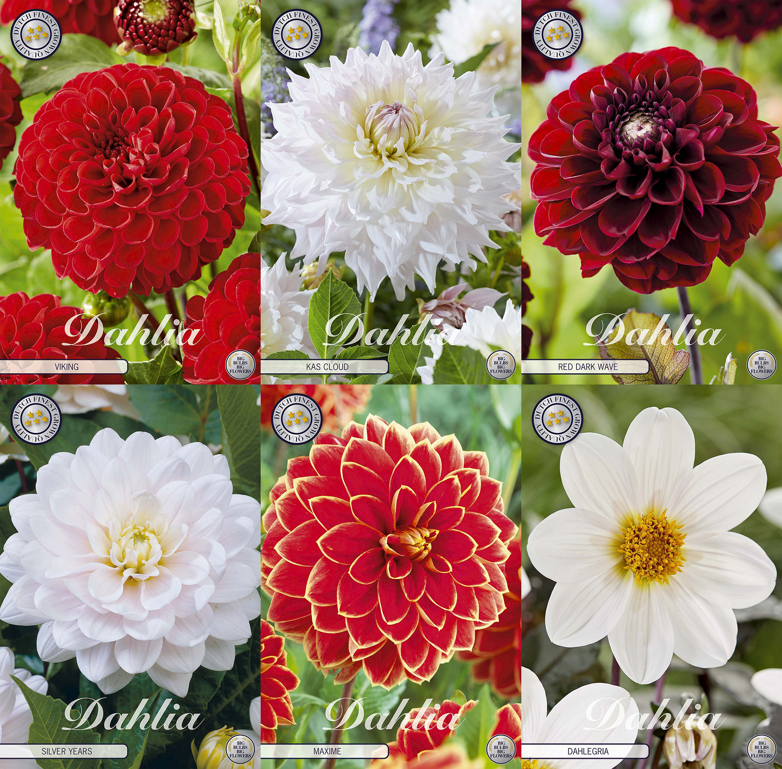 Collection Classic Romance