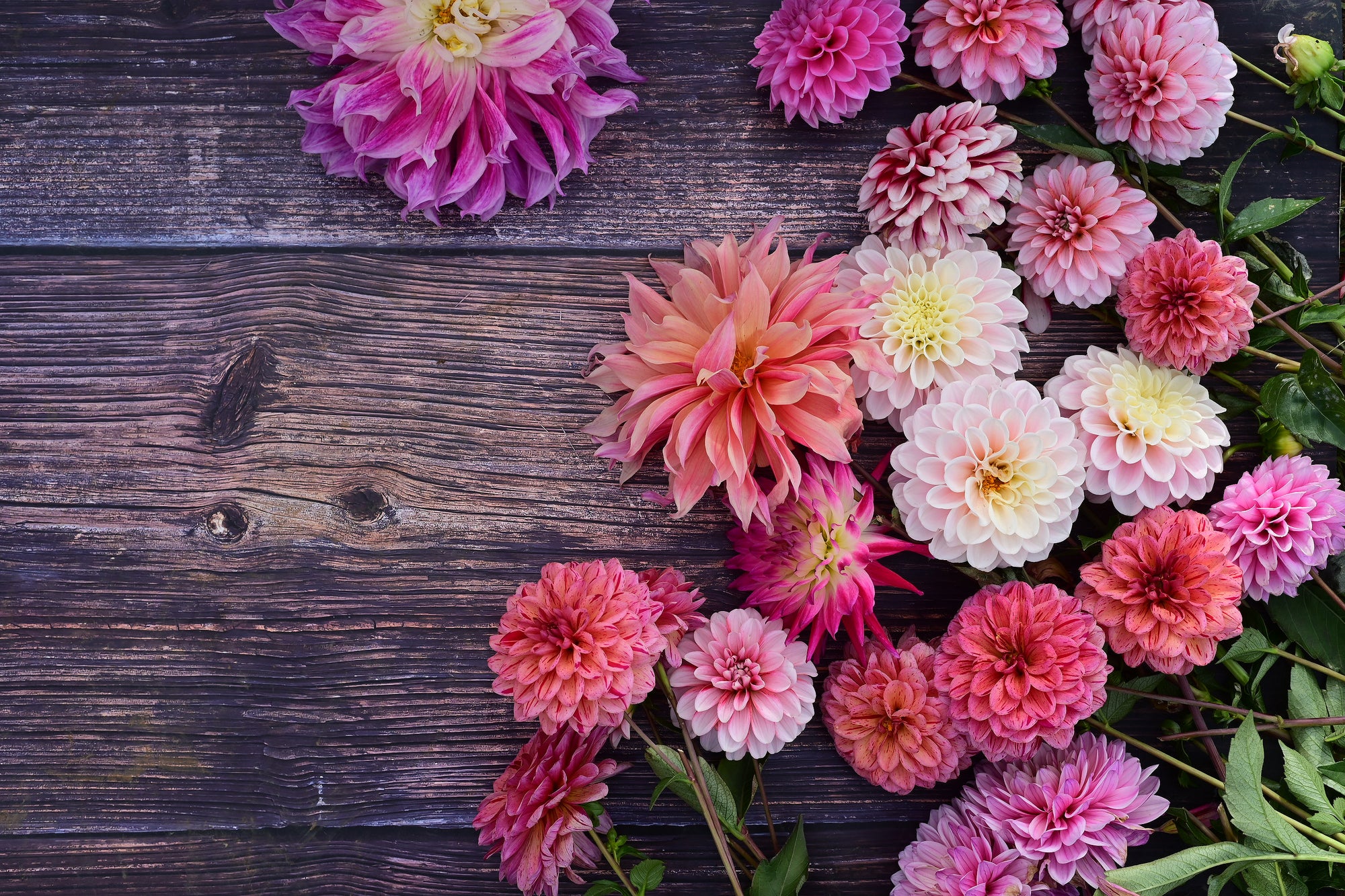 DSC_4325.JPG__PID:1e97489b-e9ed-49e6-babf-54ac37ff1444