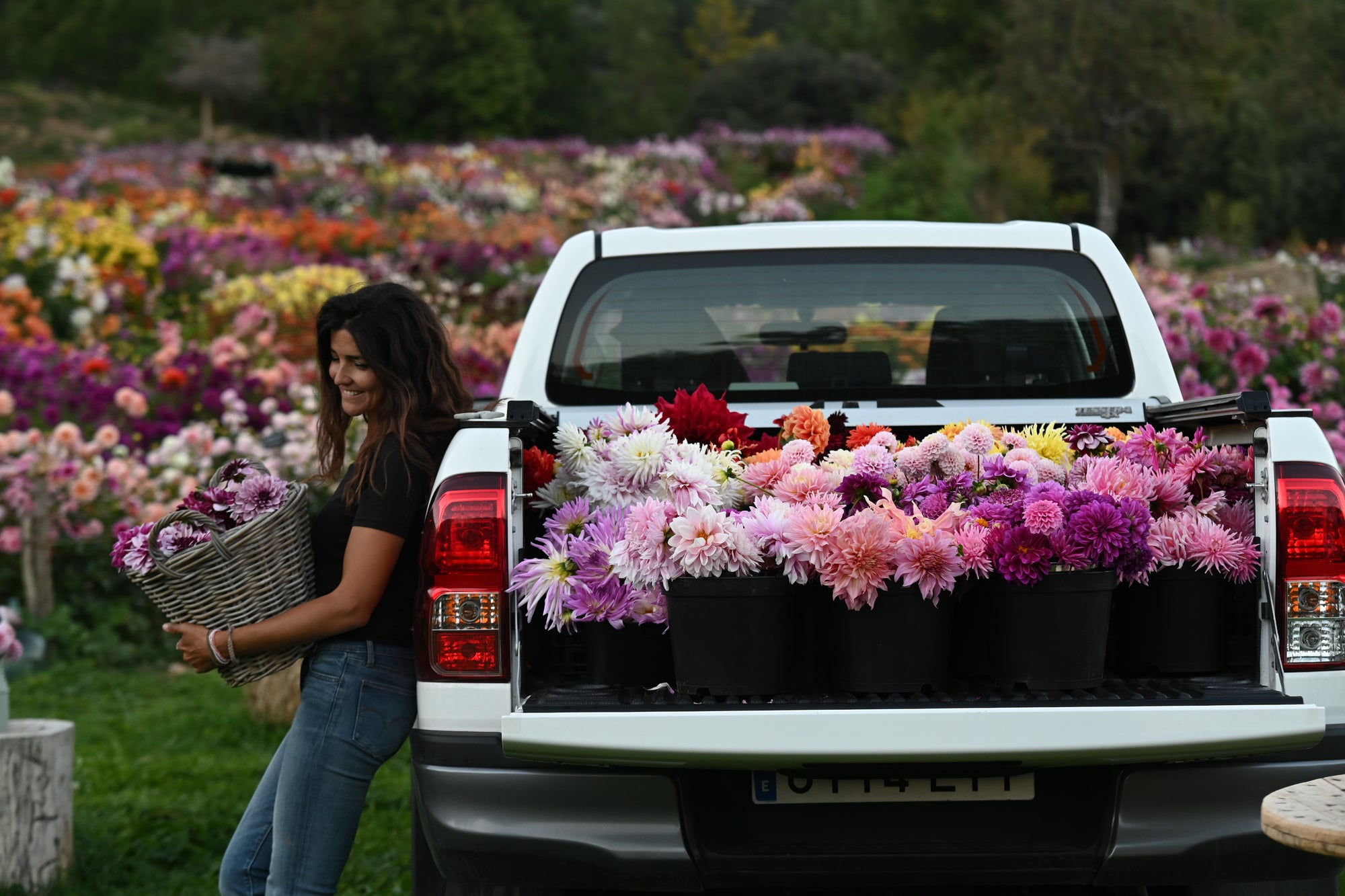 DSC_4681.JPG__PID:1024bb2f-80a3-4d80-b7f9-b4c60319c60b