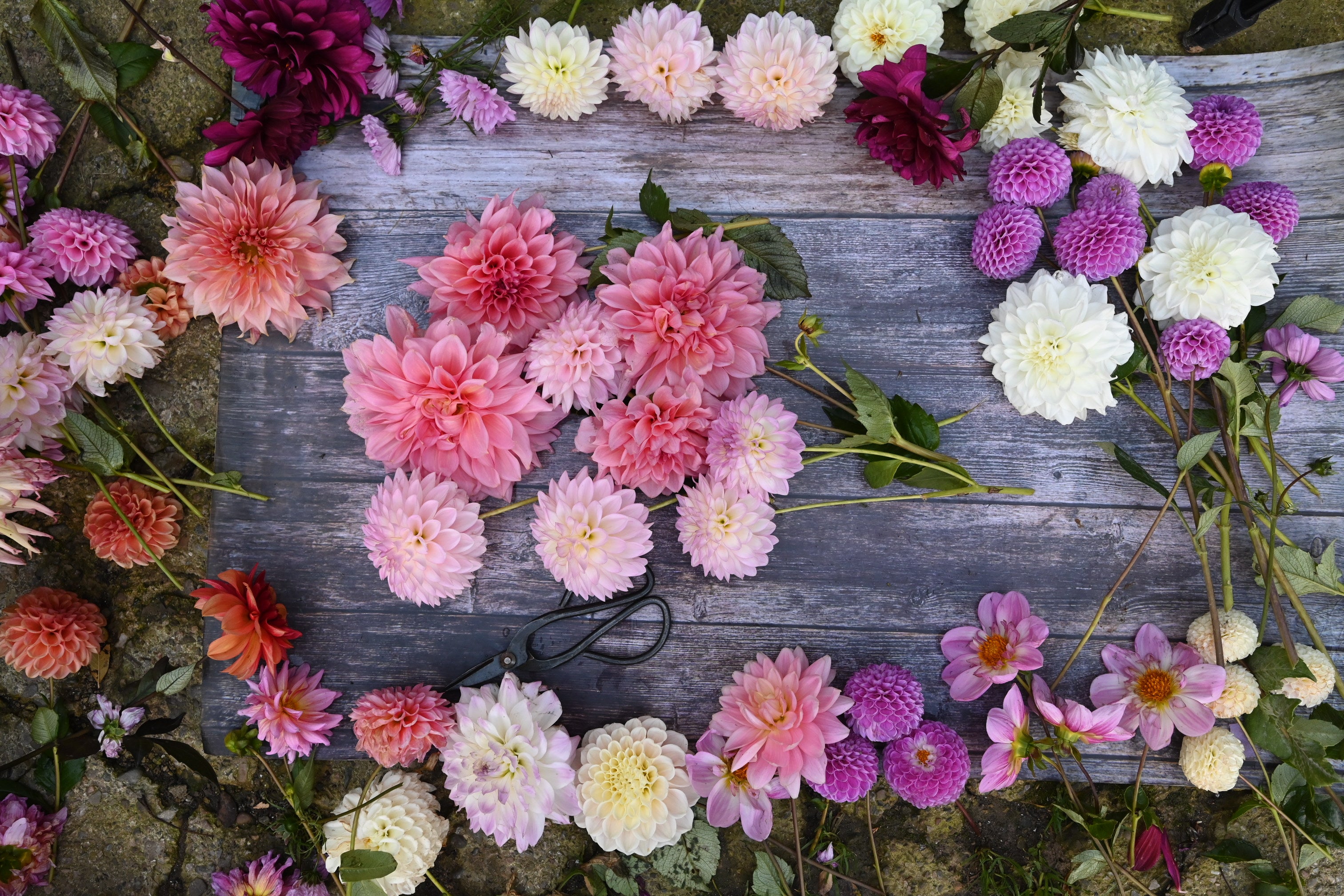 DSC_6338.JPG__PID:ecaa743c-b571-4440-8302-be19ea6e9462