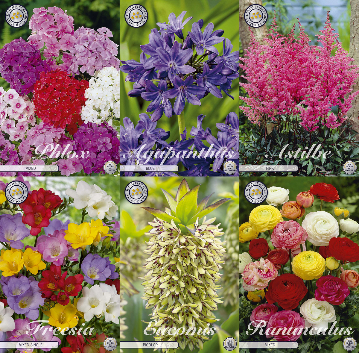 Garden Bouquet Favourites