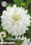 Dahlia Le Castle