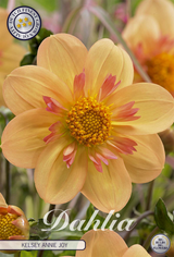 Dahlia Kelsey Annie Joy