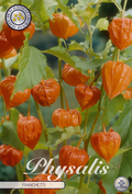 Physalis Franchetti