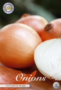 Onion Stutgarten Rieser