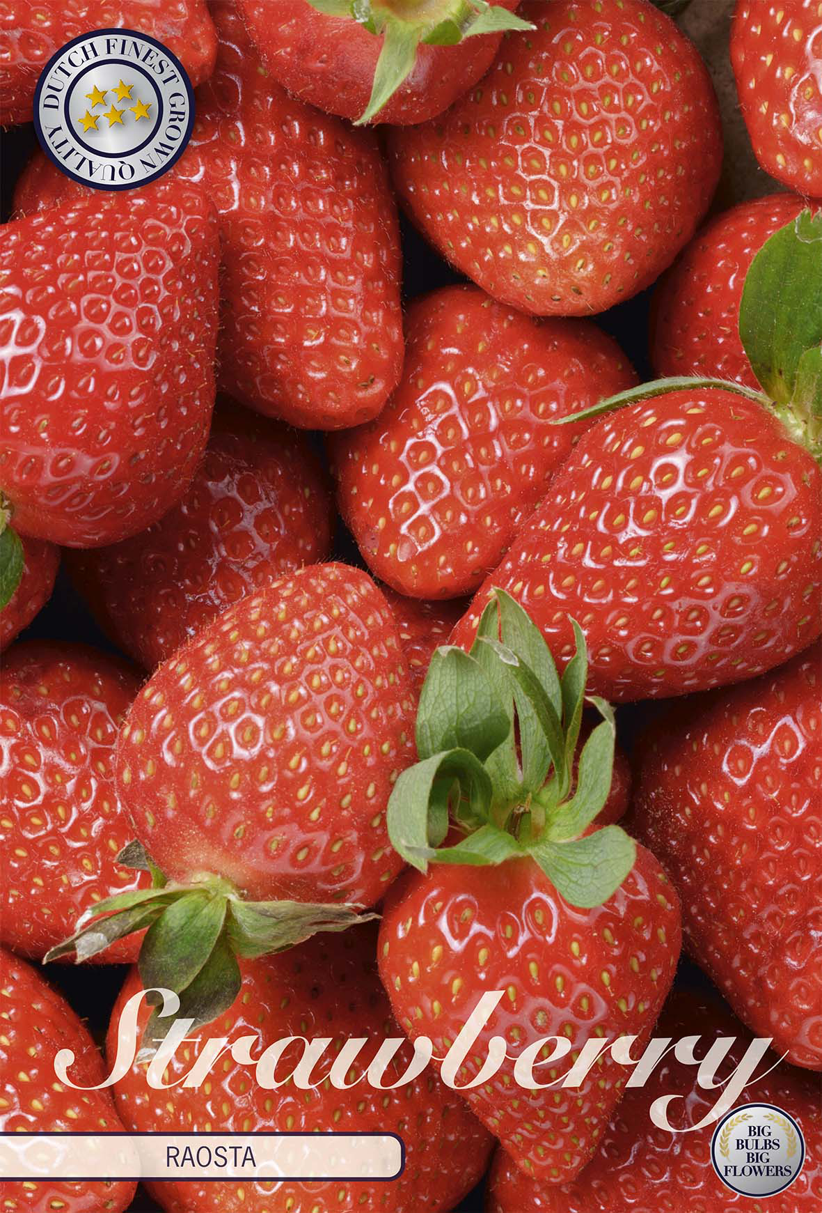 Strawberry Raosta
