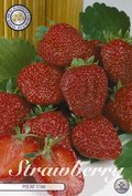 Strawberry Polar Star