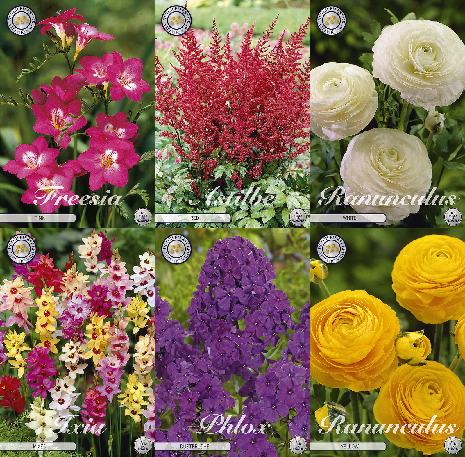 Soft Romance Bouquet