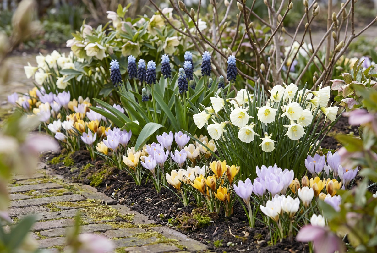Natuurlijke tuin Vroege Lente — alle soorten samen in bloei