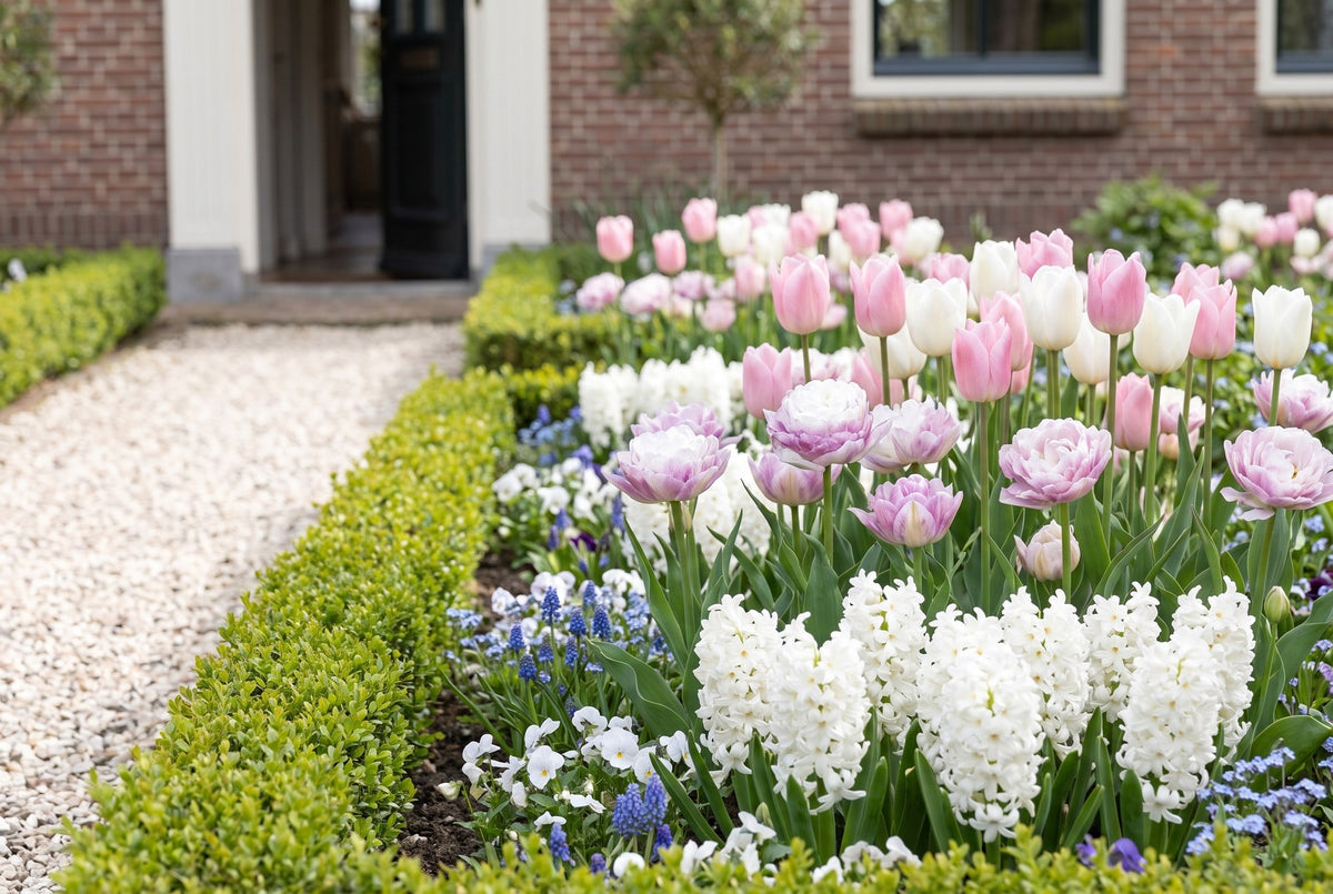 Romantische tuin Zachte Romance — alle soorten samen in bloei