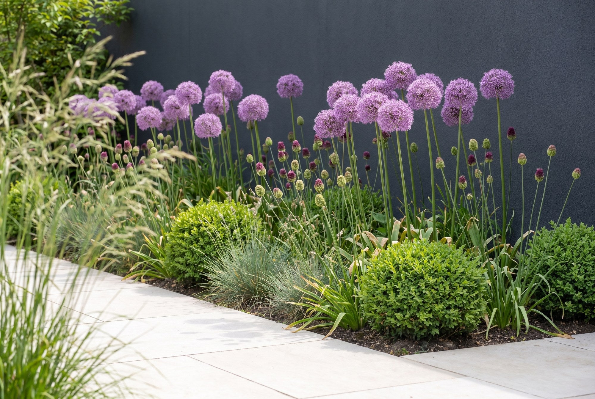 Strakke moderne tuin — Architectuur in Paars