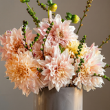 Collection Growing Love