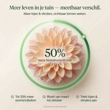 Bee Hotel with Freesia Bulbs