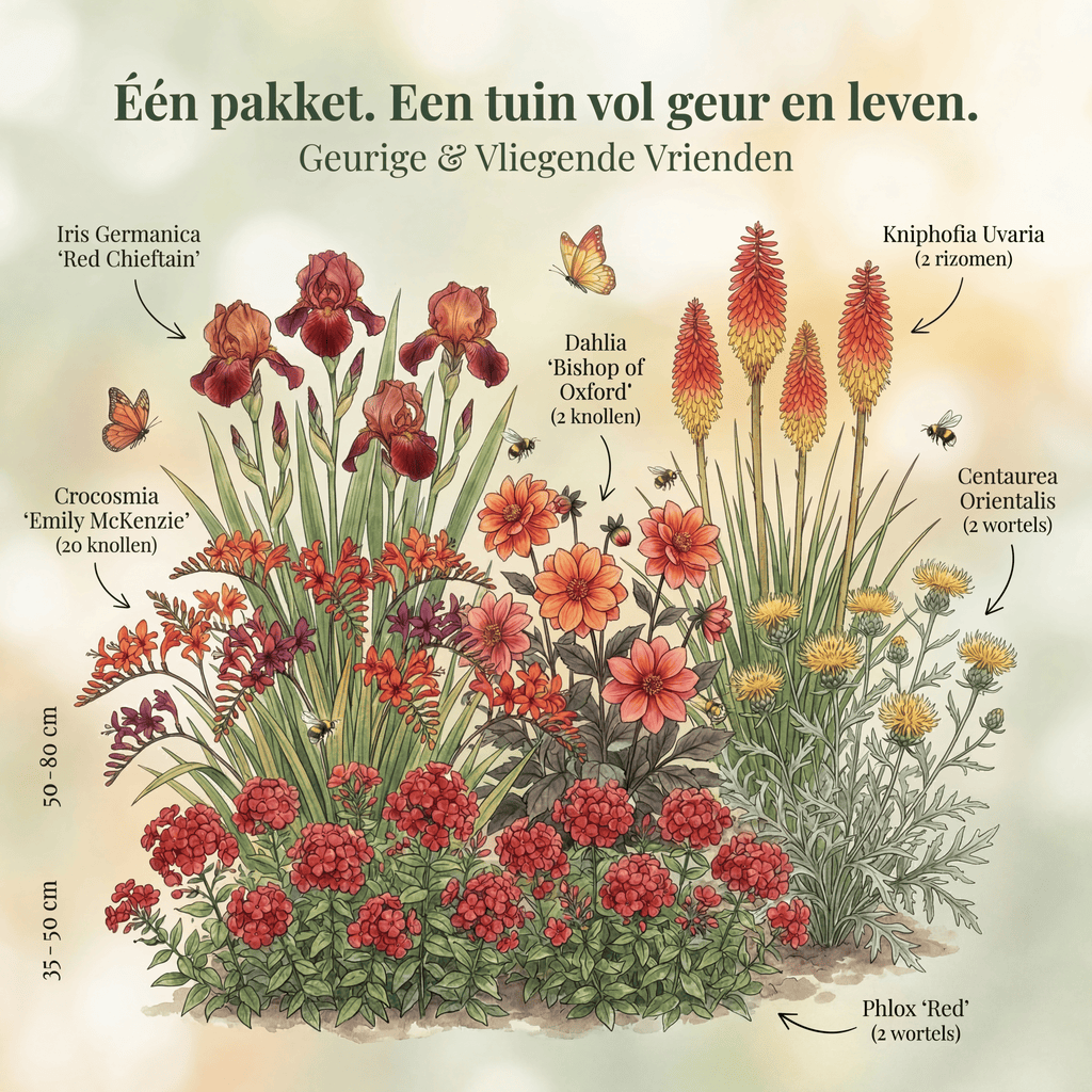 Collection Fragrant & Flying Friends