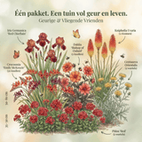 Collection Fragrant & Flying Friends
