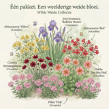 Collection Wild Meadow Look