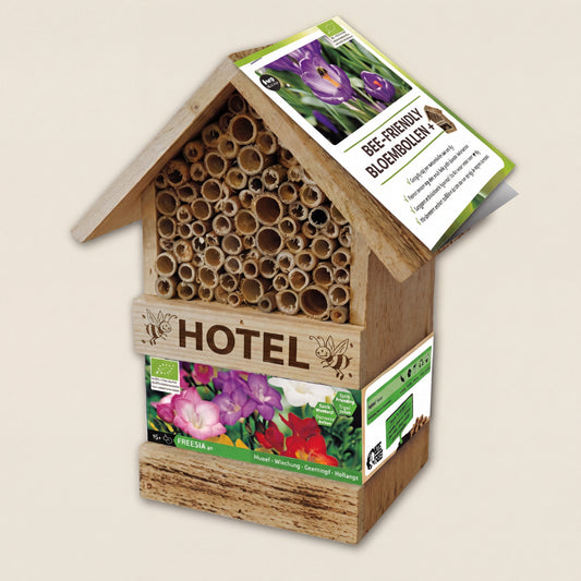 Bee Hotel with Freesia Bulbs