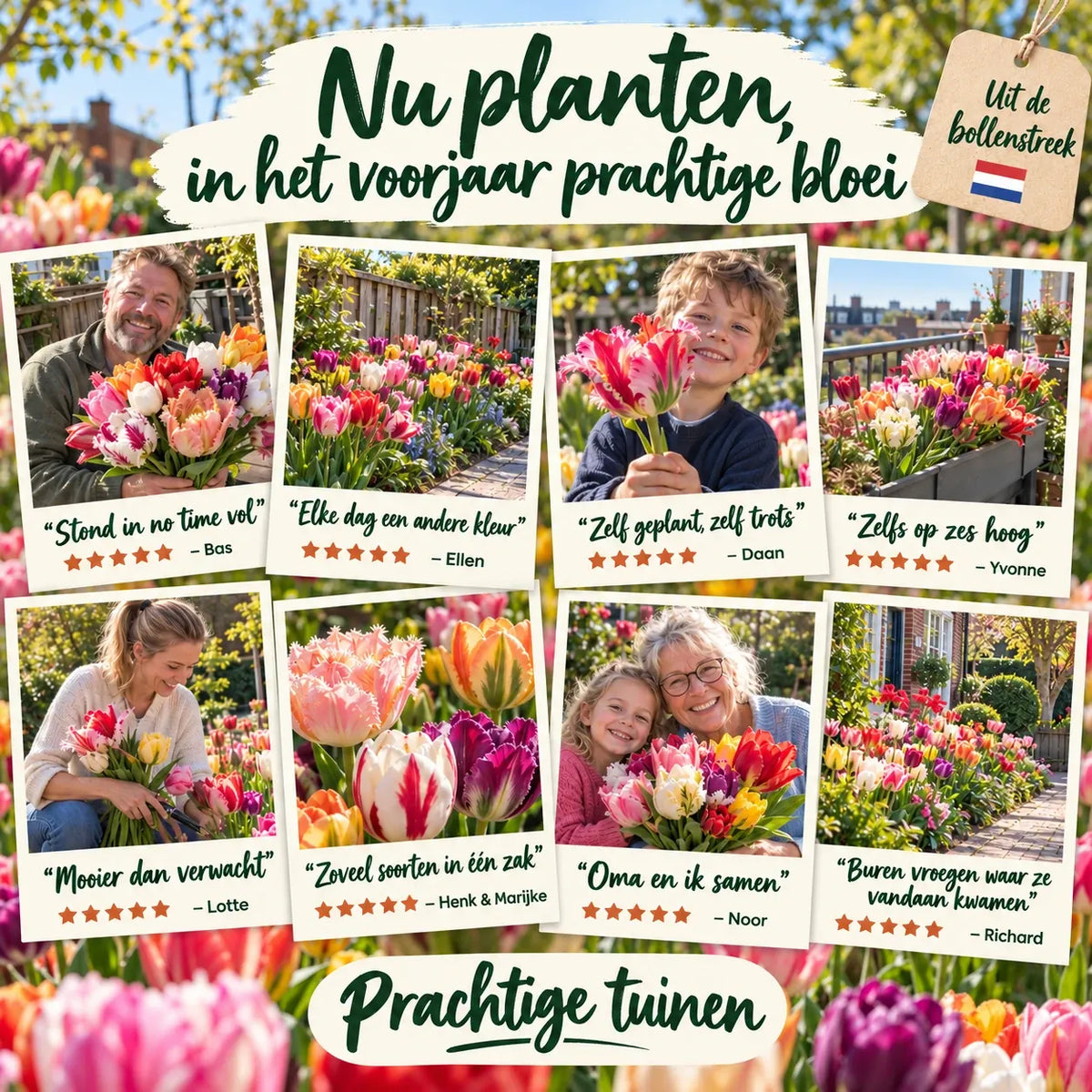 Tulpen Mysterybox — zo bloeide het bij klanten